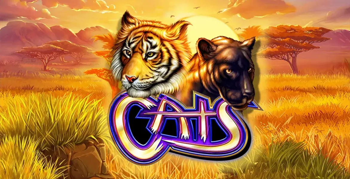 Play in Cats Pokie Review for free now | AusPokies