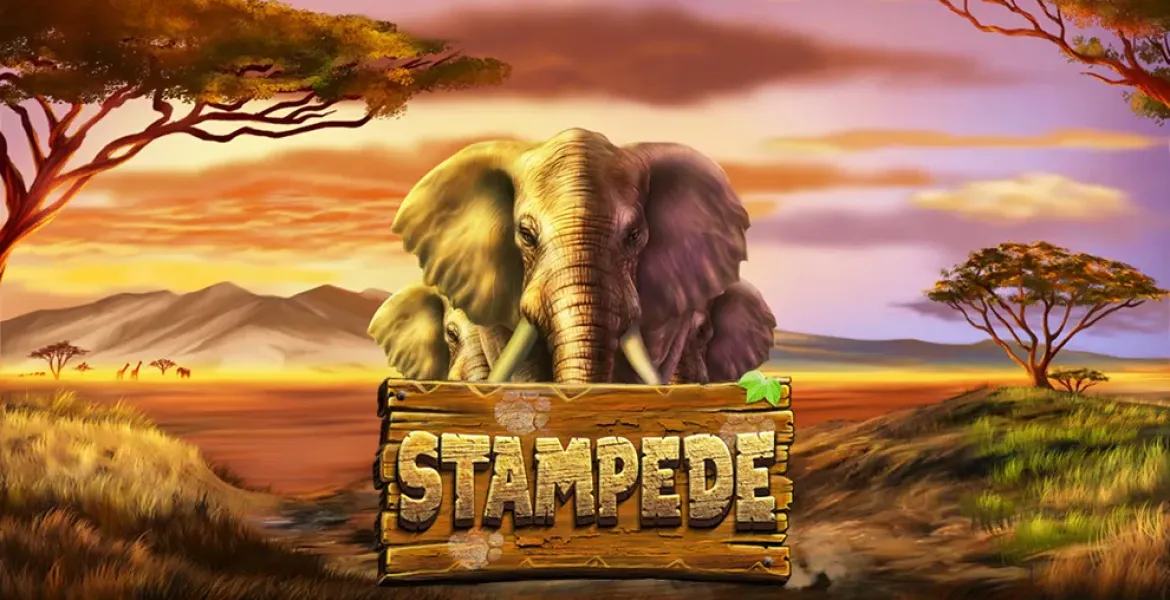 Play in Stampede Pokie Review for free now | AusPokies
