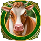 Symbol