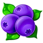 Symbol