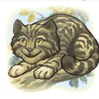Symbol