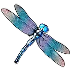 Symbol