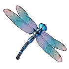 Symbol