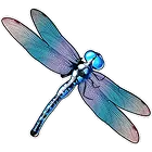 Symbol