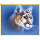 Symbol