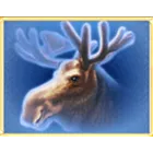Symbol