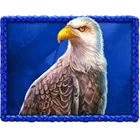 Symbol