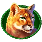 Symbol