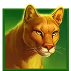 Symbol
