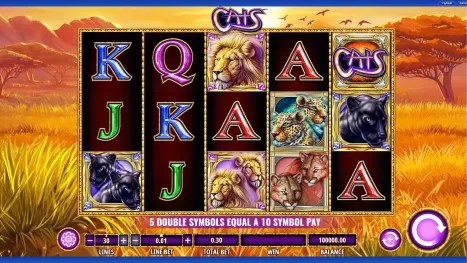 Cats Pokie Review