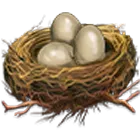 Symbol