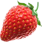 Symbol