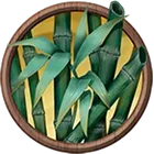 Symbol