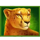 Symbol