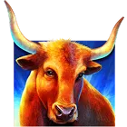 Symbol