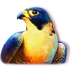 Symbol