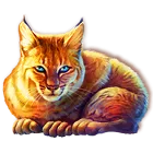 Symbol