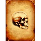 Symbol