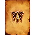 Symbol