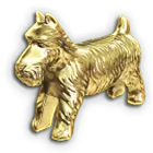 Symbol