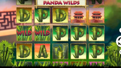 Panda Wilds Pokie Review