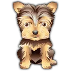 Symbol