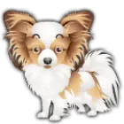 Symbol