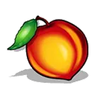Symbol