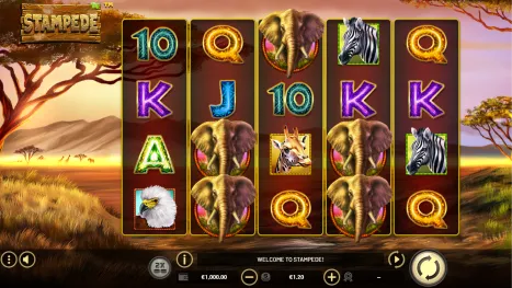 Stampede Pokie Review