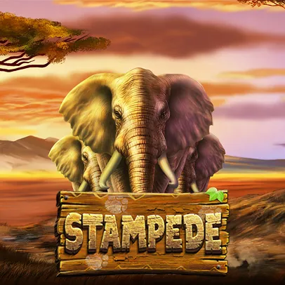 Stampede