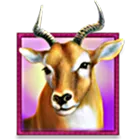 Symbol