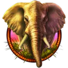Symbol