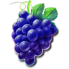 Symbol