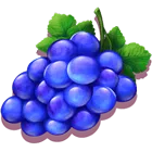 Symbol