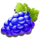 Symbol