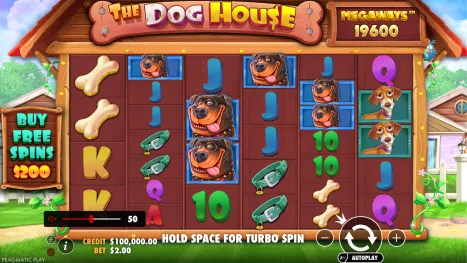 The Dog House Megaways Pokie Review